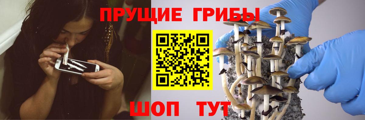 Псилоцибиновые грибы ЛСД Нижневартовск